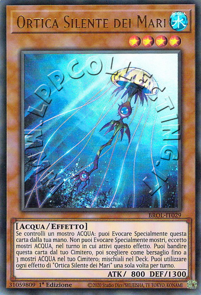 Ortica Silente dei Mari 