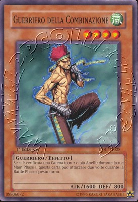Guerriero della Combinazione