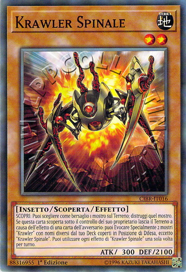 Krawler Spinale