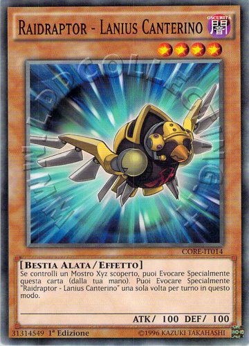Raidraptor - Lanius Canterino