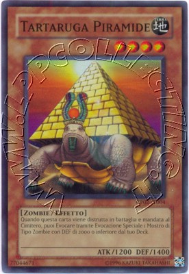 Tartaruga Piramide