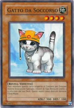 Gatto da Soccorso