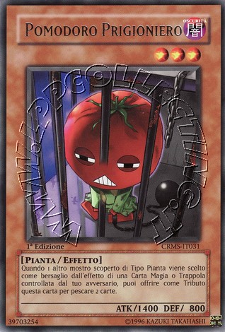 Pomodoro Prigioniero