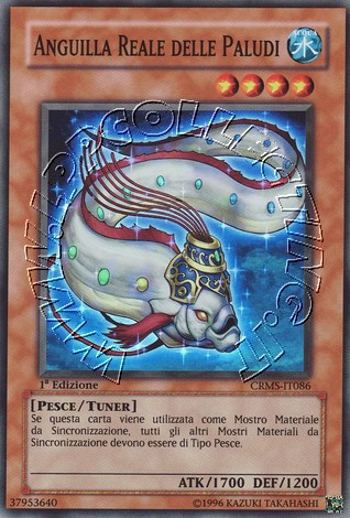 Anguilla Reale delle Paludi