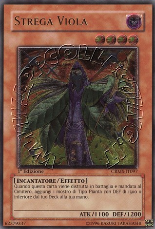 Strega Viola
