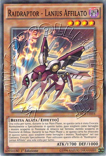 Raidraptor - Lanius Affilato