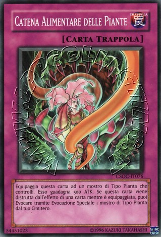Catena Alimentare delle Piante