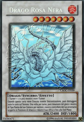 Drago Rosa Nera 