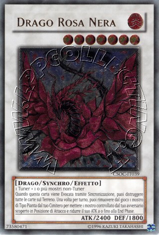 Drago Rosa Nera 