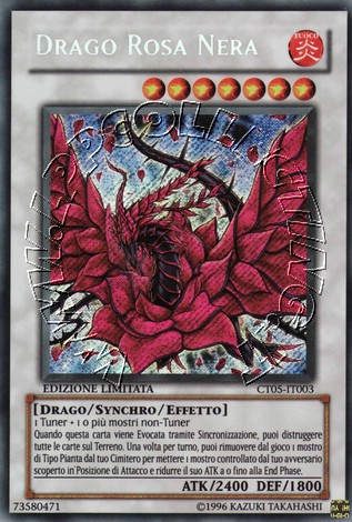 Drago Rosa Nera 