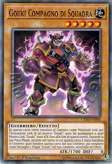 Gouki Compagno di Squadra