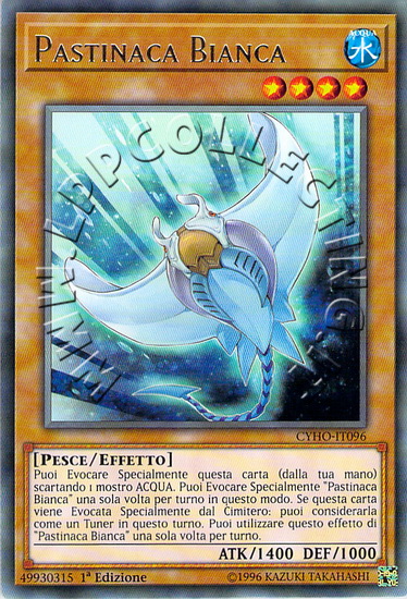 Pastinaca Bianca