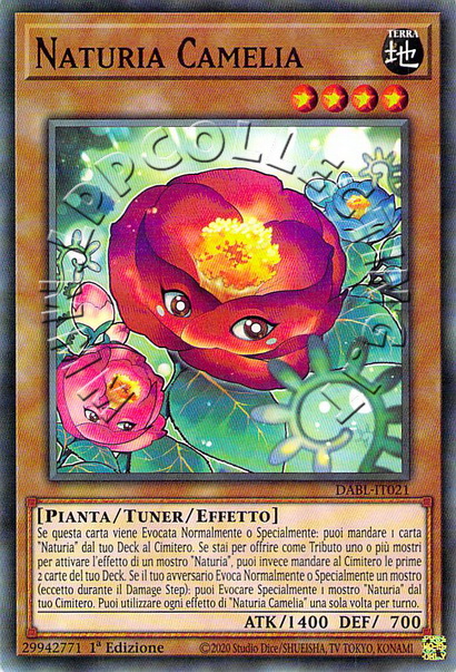 Naturia Camelia 