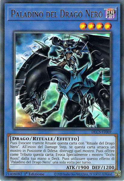 Paladino del Drago Nero