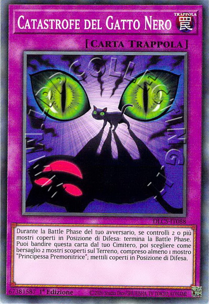 Catastrofe del Gatto Nero