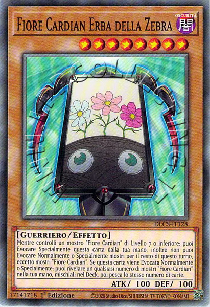 Fiore Cardian Erba della Zebra