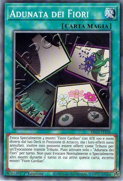 Adunata dei Fiori