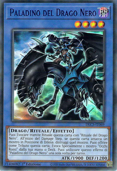 Paladino del Drago Nero