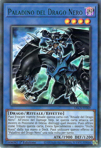 Paladino del Drago Nero