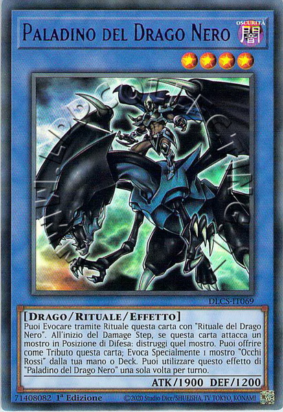 Paladino del Drago Nero