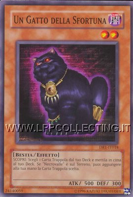 Un Gatto della Sfortuna