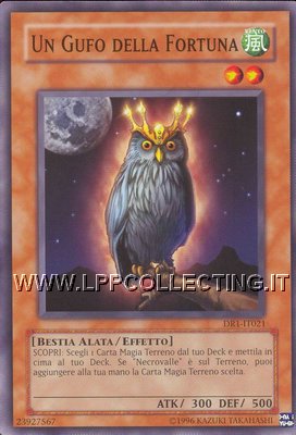 Un Gufo della Fortuna