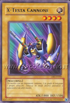 X-Testa Cannone