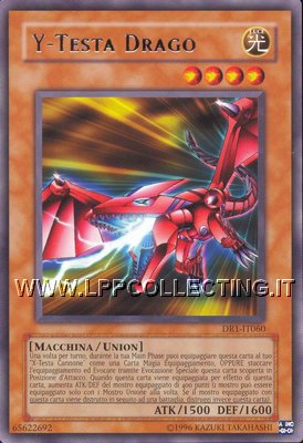 Y-Testa Drago
