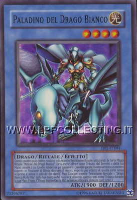 Paladino del Drago Bianco