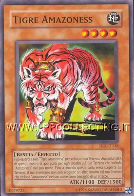 Tigre Amazoness
