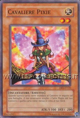 Cavaliere Pixie