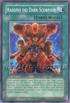 Raduno dei Dark Scorpion