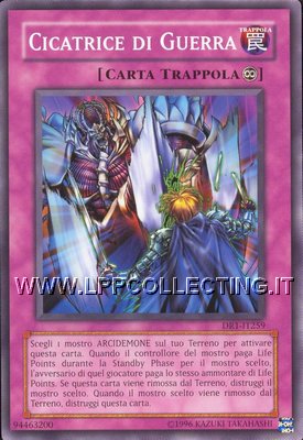 Cicatrice di Guerra