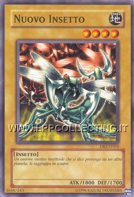 Nuovo Insetto