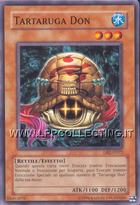 Tartaruga Don