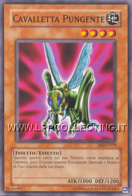 Cavalletta Pungente