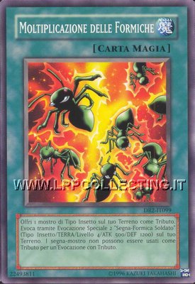 Moltiplicazione delle Formiche