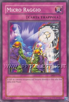 Micro Raggio