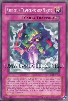 Arte della Trasformazione Ninjitsu