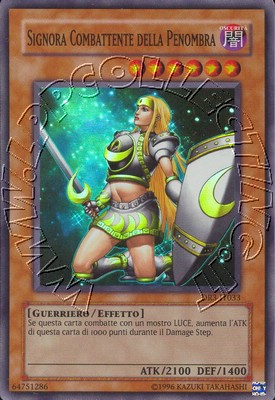 Signora Combattente della Penombra