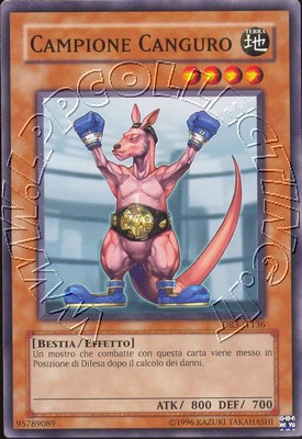 Campione Canguro