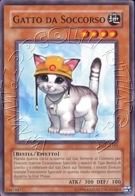 Gatto da Soccorso