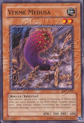 Verme Medusa