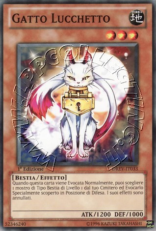 Gatto Lucchetto