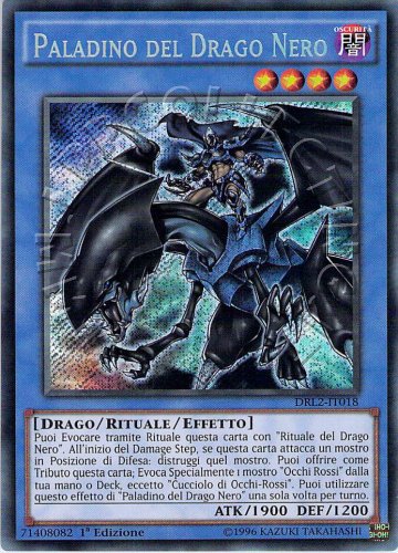 Paladino del Drago Nero