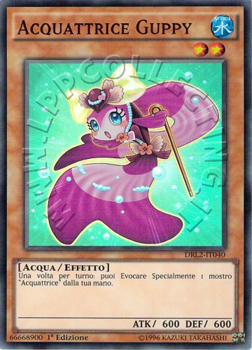 Acquattrice Guppy