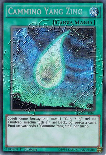 Cammino Yang Zing