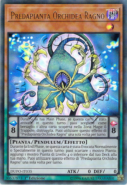 Predapianta Orchidea Ragno