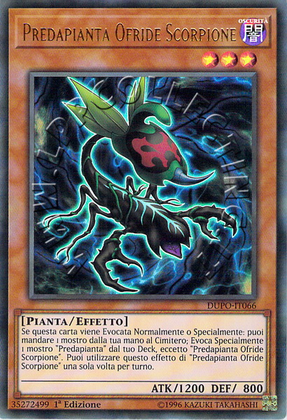 Predapianta Ofride Scorpione