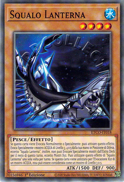 Squalo Lanterna